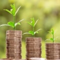 Por qué los ricos depositan dinero en fideicomisos